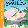 Follow The Swallow [edizione: Regno Unito]