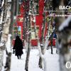 Concerti Brandeburghesi