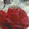 Rose Moderne