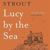 Lucy by the sea: from the booker-shortlisted author of oh william!