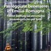Passeggiate Benessere In Emilia Romagna. forest Bathing Ed Escursioni Bioenergetiche Per Tutti