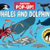 Whales And Dolphins. Nature Pop-up. Ediz. A Colori