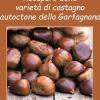 Recupero delle variet di castagno autoctone della Garfagnana