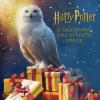 Harry Potter. Il Calendario Dell'avvento Pop-up. Ediz. A Colori
