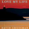 More than i love my life: a novel