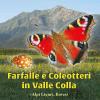 Farfalle E Coleotteri In Valle Colla (alpi Liguri, Boves)