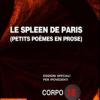 Le Spleen De Paris. Ediz. Per Ipovedenti