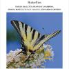 Lepidoptera Papilionoidea Butterflies. Ediz. Illustrata