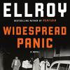 Widespread Panic: A Novel
