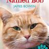 Street cat named Bob (A)