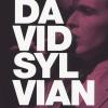 La Filosofia Di David Sylvian. Incursioni Nel Rock Postmoderno