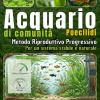 Acquario Di Comunit� E Poecilidi: Metodo Riproduttivo Progressivo Per Un Sistema Stabile E Naturale