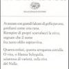 Notizie Dal Diluvio-sinfonietta-lo Splendido Violino Verde