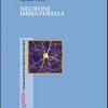 Neuroni Immateriali