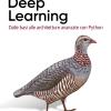 Deep learning. Dalle basi alle architetture avanzate con Python