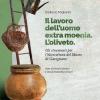 Il Lavoro Dell'uomo Extra Moenia. Gli Strumenti Per L'olivicoltura Del Museo Di Gavignano