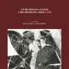Studi miscellanei di ceramografia greca. Ediz. multilingue. Vol. 7