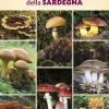 Funghi della Sardegna. Ediz. illustrata