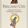 Bhagavad Gita. Interpretazione Spirituale. Vol. 3