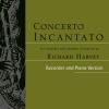 Richard Harvey - Concerto Incantato Recorder & Piano Version