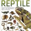 Reptile [edizione: Regno Unito]