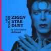 Ziggy Stardust. La vera natura dei sogni