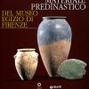 Materiale Predinastico Del Museo Egizio Di Firenze