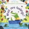 First Questions And Answers What Are Feelings - Lift The Flap. Ediz. A Colori