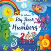 Big Book Of Numbers. Ediz. A Colori