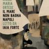 Il Mare Non Bagna Napoli Letto Da Iaia Forte. Audiolibro. Cd Audio Formato Mp3