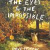 The Eyes and the Impossible: Text: Dave Eggers. Illustrations: Shawn Harris