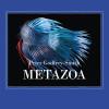 Metazoa. Gli Animali E La Nascita Della Mente