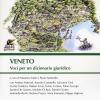 Veneto. Voci Per Un Dizionario Giuridico