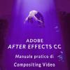 Adobe After Effects Cc - Manuale Pratico Di Compositing Video (volume 2): Interno In Bianco E Nero