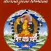 Mo, Divinazione Tibetana