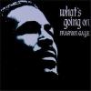 What's Going On (1 Cd Audio)
