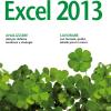 Costruire Applicazioni Con Excel 2013