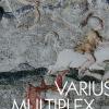 Varius, Multiplex, Multiformis. Il mito di Niobe nelle VILL di Tivoli