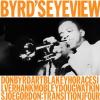 Byrds S Eye View