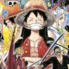 One piece. New edition. Vol. 100