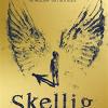 Skellig: The 25th Anniversary Illustrated Edition