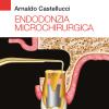 Endodonzia microchirurgica
