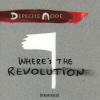Where's The Revolution (2 X 12