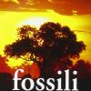 Fossili. Una Storia D'amore In Sudafrica
