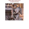 Michelangelo a Bologna