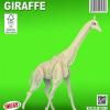 Giraffa ( Kit Costruzione In Legno )