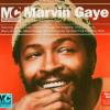 Mastercuts Presents Marvin Gaye