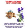 Poisonous Plants enemy For Our Animal Friends. For Animal Lovers