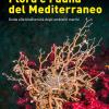 Atlante Di Flora E Fauna Del Mediterraneo. Guida Alla Biodiversit Degli Ambienti Marini. Ediz. Illustrata