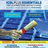 ICDL plus essentials. Per le competenze digitali di base. Con Contenuto digitale (fornito elettronicamente)